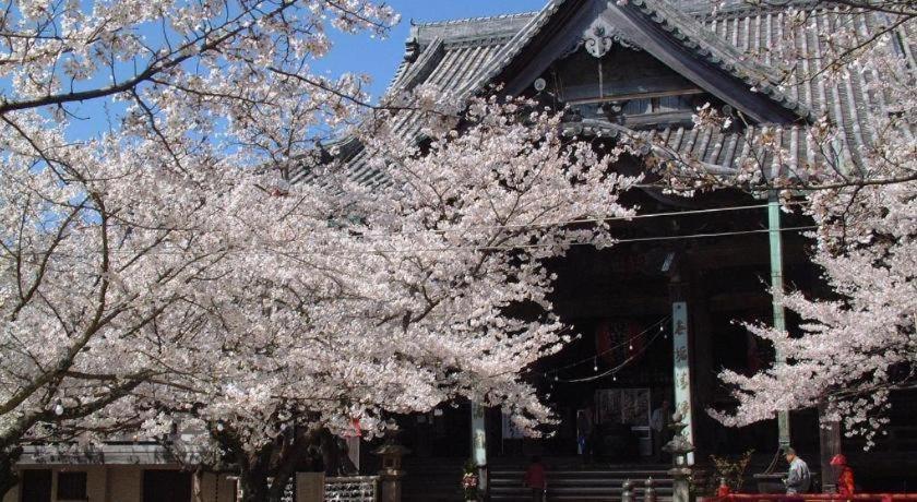 Hotel Avalorm Kinokuni Wakayama Exterior foto